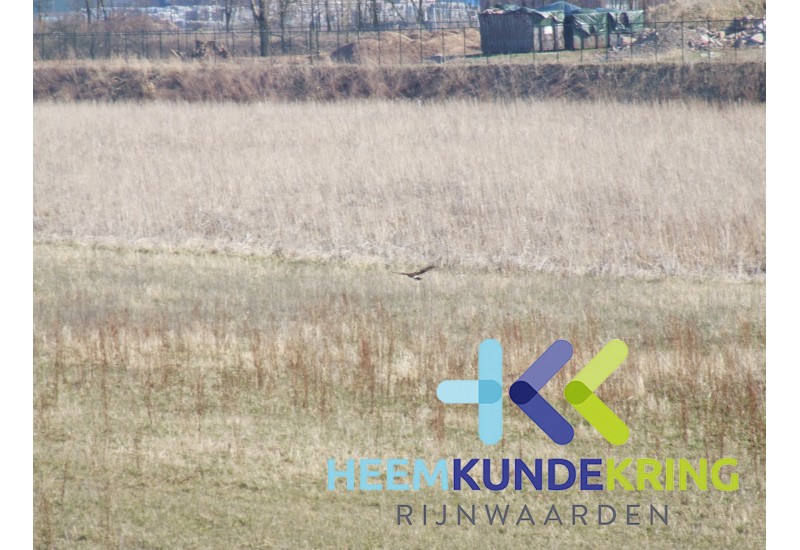 2006-13-03 Geuzenwaard (35)